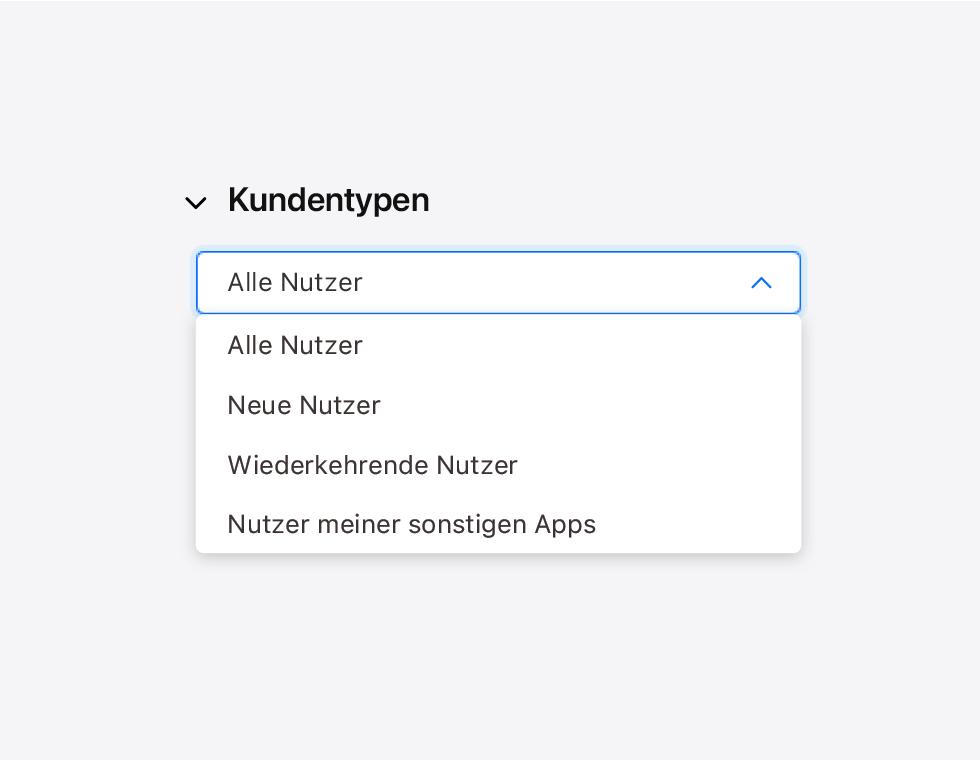 Auswahl „Alle Nutzer:innen“ im Menü „Kundentypen“.